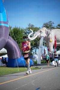 BIB: 
                            <button type="button" onclick="openModal(26544162)" class="btn btn-primary btn-sm float-right btn-popup" data-toggle="modal" data-target=".modal-high-quality">
                        <i class="fas fa-shopping-cart"></i> Add to Cart
                    </button>
                                            <button type="button" onclick="isThisMe(26544162, true)" class="btn btn-success btn-sm float-right btn-popup btn-isme hidden" data-toggle="tooltip" data-placement="bottom" title="นี่คือรูปของคุณใช่ไหม คลิกที่นี่เพื่อเอาเข้าอัลบั้ม">
                        <i class="fas fa-plus"></i> Add to album
                    </button>
                    <button type="button" onclick="isThisMe(26544162, false)" class="btn btn-warning btn-sm float-right btn-popup btn-isnotme hidden">
                        <i class="fas fa-ban"></i> Remove from album
                    </button>